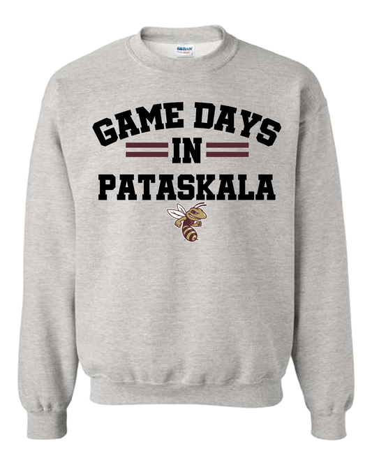 Game Day In Pataskala Hornets