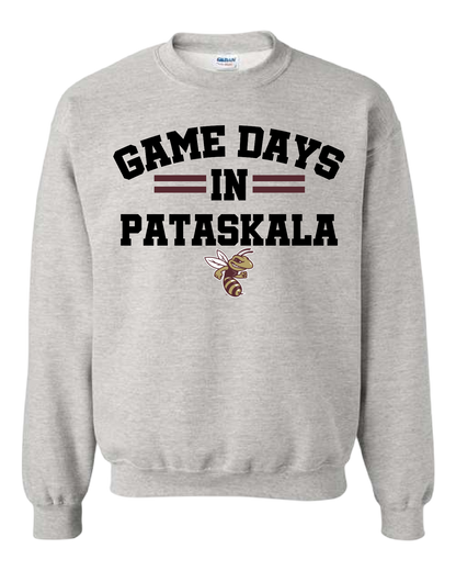 Game Day In Pataskala Hornets