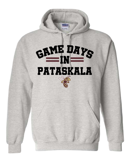 Game Day In Pataskala Hornets