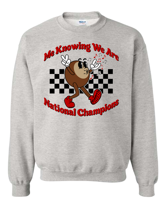 Knowing We Are Champs